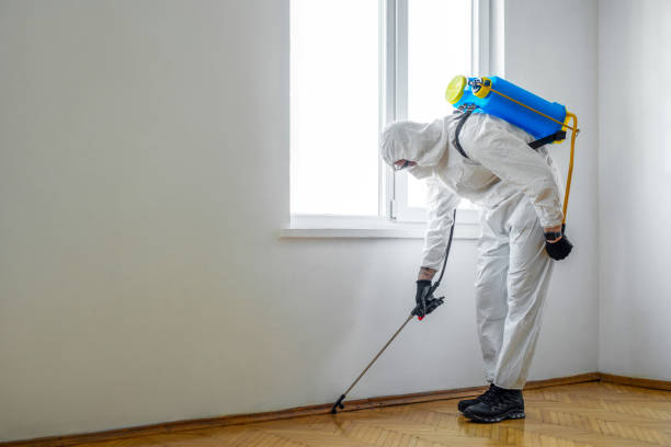 Best Bed Bug Extermination  in Springdale, MD